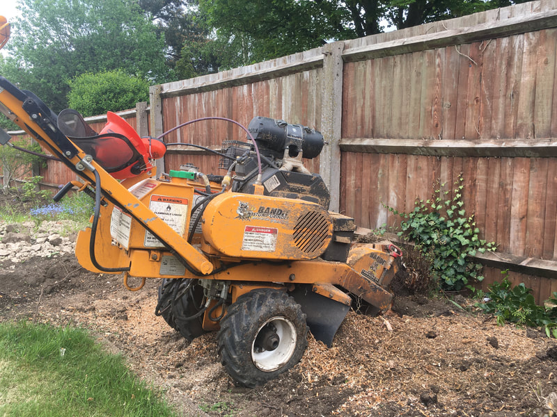 A yellow stump grinder parked in a domestic garden bed next to a wooden fence and shrubs.